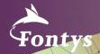 Logo Fontys