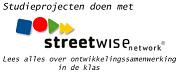 logo Steerwise